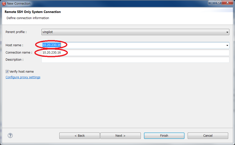 Remote SSH Only System Connection